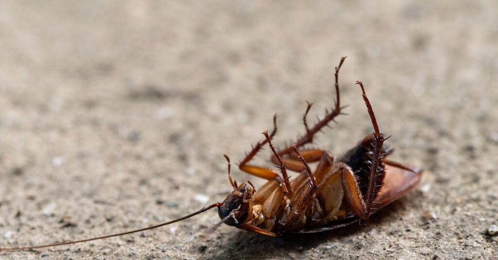 信頼できる害獣駆除業者を選ぶためのポイントを図解した画像。実績、口コミ、保証、料金明細の4項目が分かりやすく示されている。