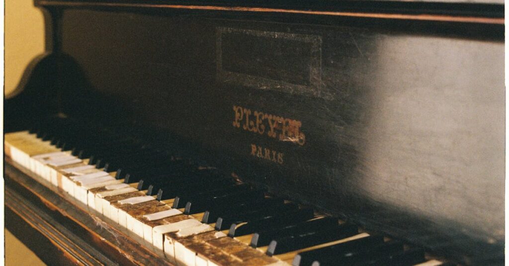 査定前に楽器の汚れや埃を掃除しなかったことで査定額が下がる例