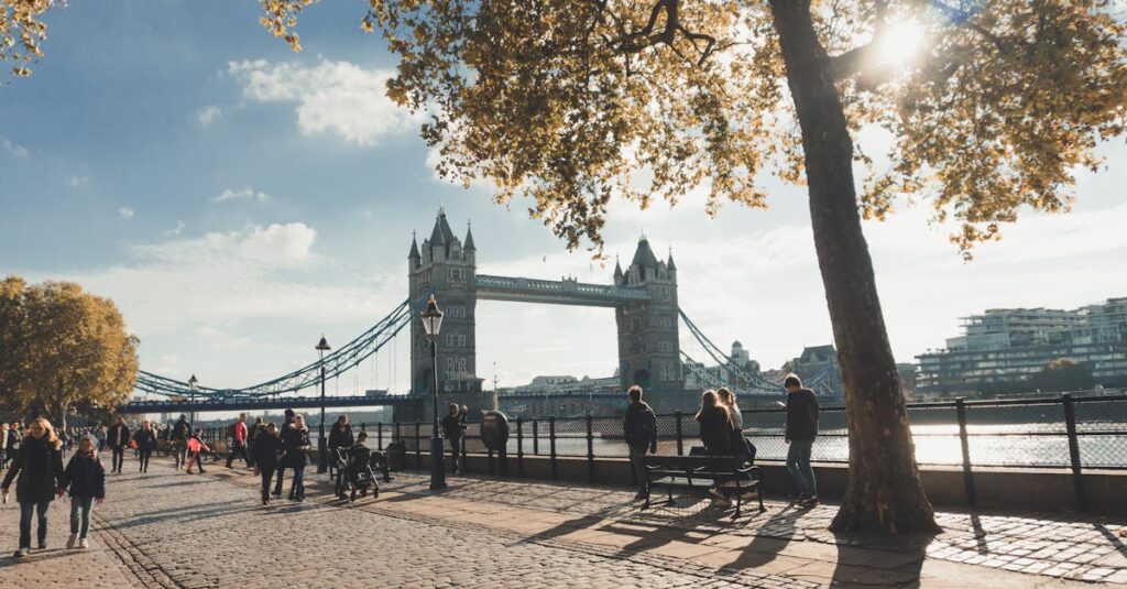 子どもに合わせて調整される柔軟な英語カリキュラムの様子