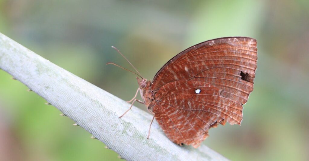 夜間に発生する害獣被害のイメージ画像。深夜に天井裏で音がする状況を示しており、不安な住民の様子も描写されている。