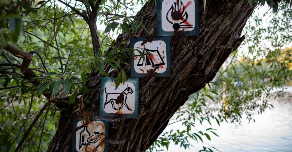 格安SIM乗り換え時のよくあるトラブルとその対策を示すイメージ図