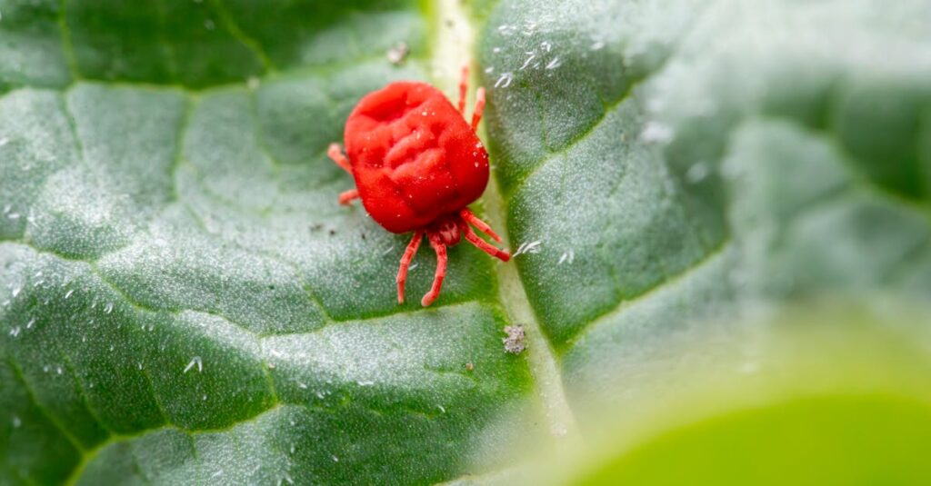 害獣駆除前に準備をしている家庭の様子