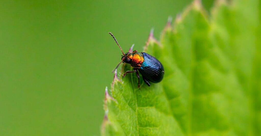 口コミサイトで害獣駆除業者を比較している様子。信頼できるレビューを確認するイメージ