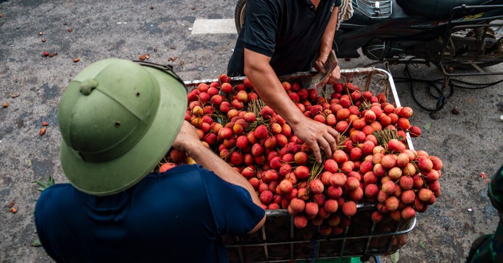 ドラムを高く売るための5つの具体的なコツを視覚的に説明した戦略的イメージ図