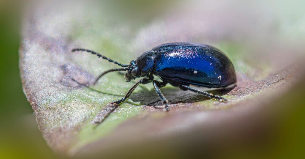 害獣駆除業者の保証内容について契約書を確認している様子