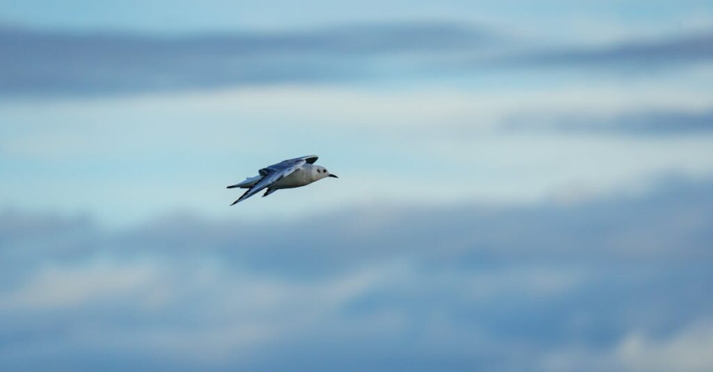 ゲーム買取の無料査定におけるメリットとデメリットを対比する図