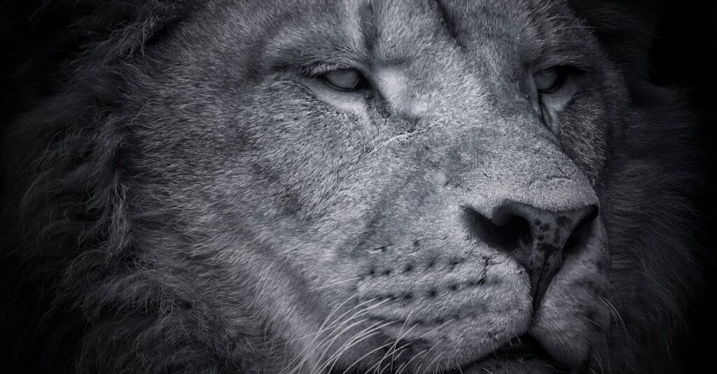 害獣が家屋に侵入したことによる被害のイメージ画像。天井裏に害獣の足跡や糞尿の痕跡が残っている様子。