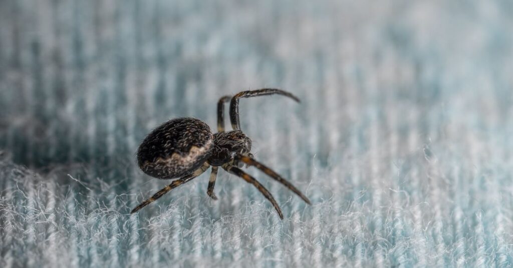 害獣が再侵入しないよう住宅の隙間を封鎖している様子