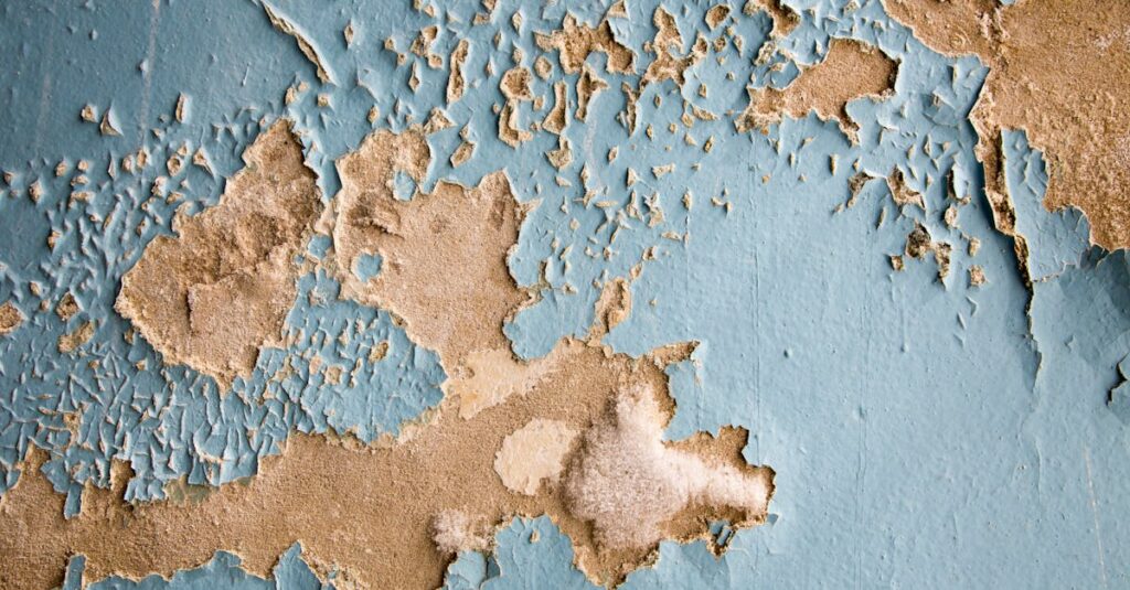 横浜市沿岸部の住宅で外壁が塩害により劣化している様子。塗装の重要性が伝わる写真。