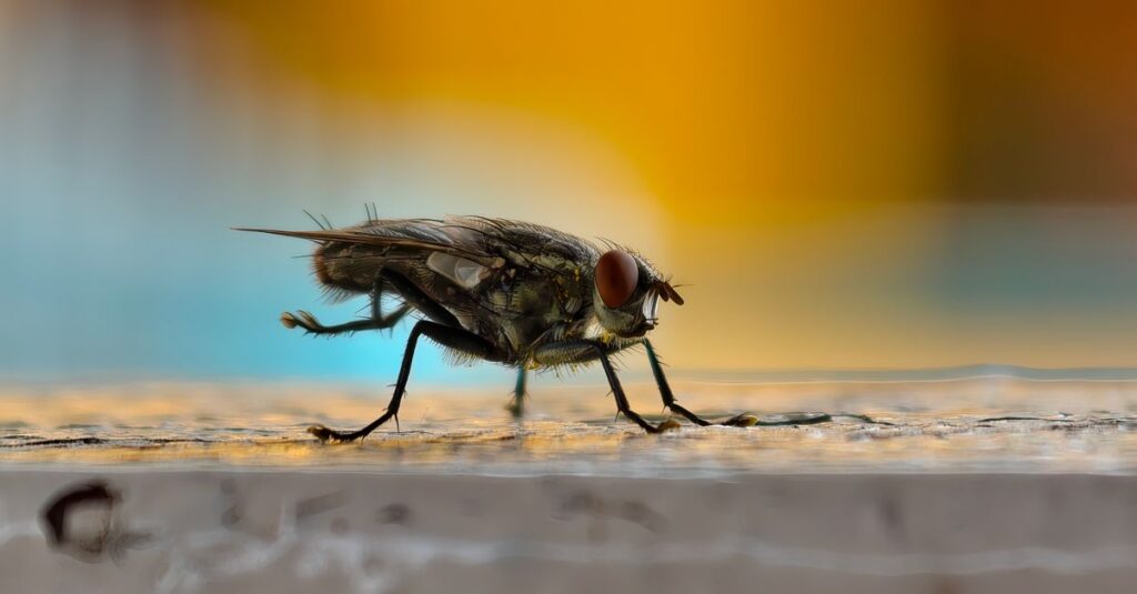 口コミサイトで害獣駆除業者を比較している様子。信頼できるレビューを確認するイメージ