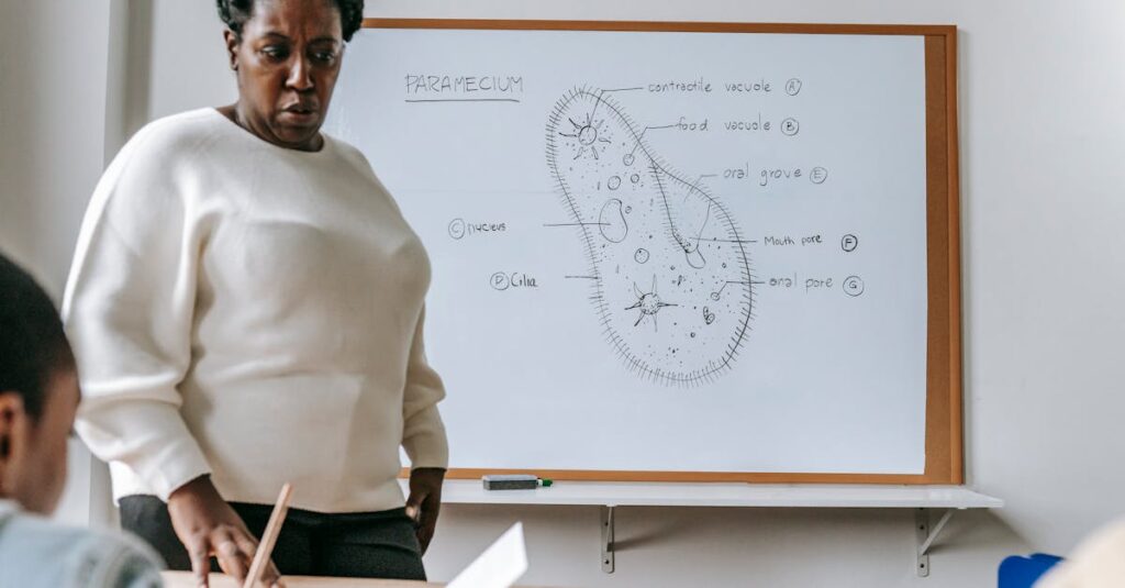 英会話教室の体験レッスンで楽しむ子どもの様子