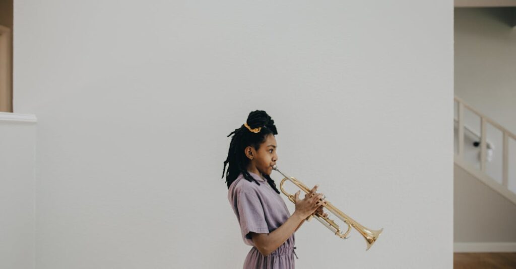 トランペットの査定前に確認すべきチェック項目を図解したイラスト画像