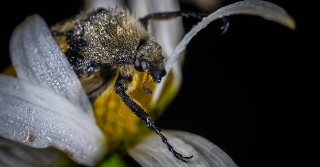 環境に優しい薬剤を使用する害獣駆除の様子。ペットや子どもにも安全な施工を行うイメージ