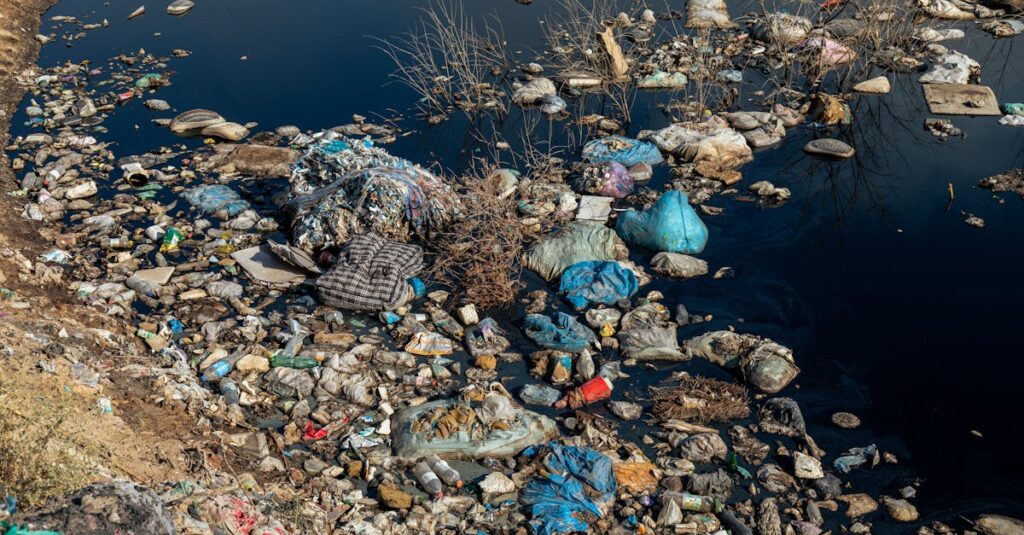 不用品回収料金の見積もりを見ながら悩む利用者。料金体系や追加費用を確認する場面