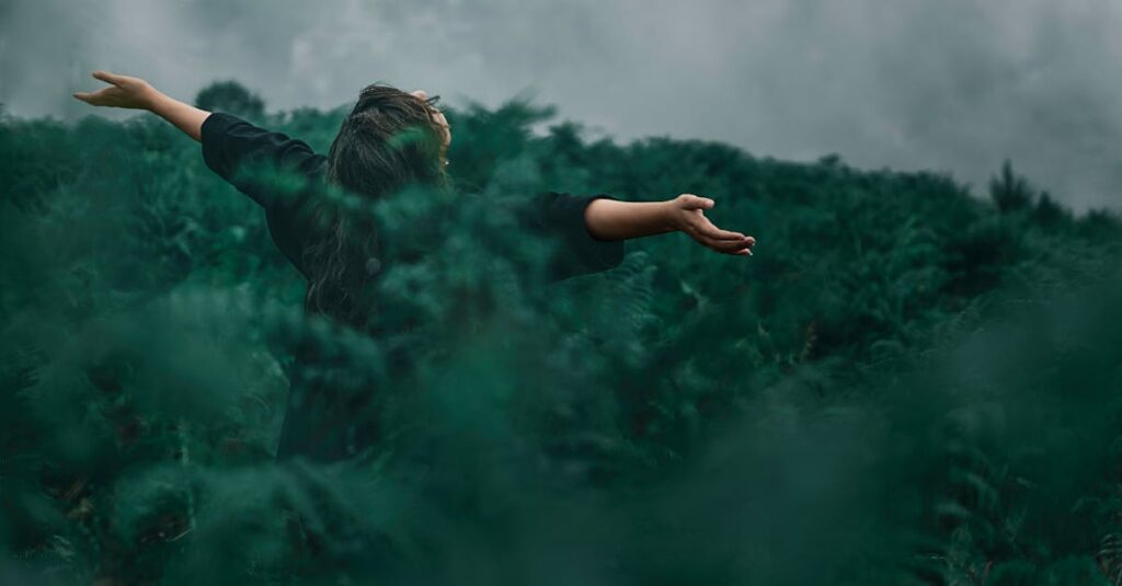 介護資格を0円で取得できる制度の仕組みとその社会的背景を解説する図