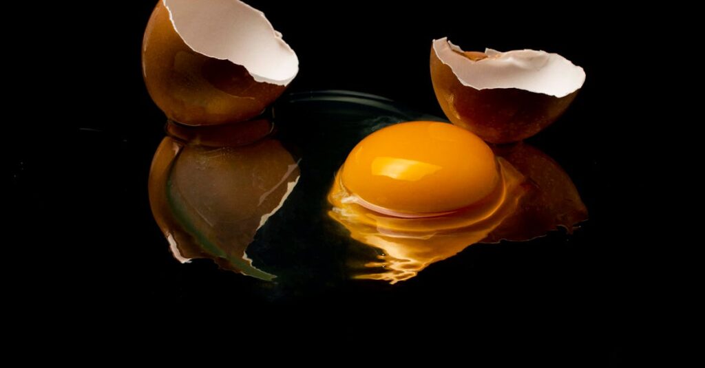 健康や食に関する通信講座で学ぶ女性が資料を読む様子