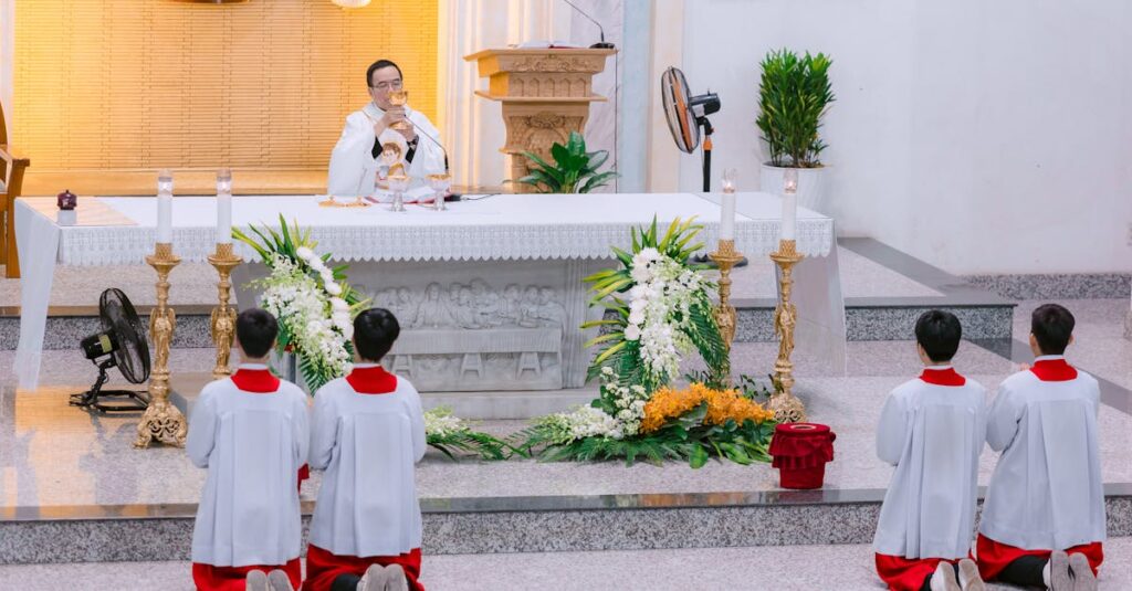 Cha Cha Chaの弱点はおもちゃの選択自由度や交換頻度の少なさで、柔軟性を重視する家庭には課題があります。