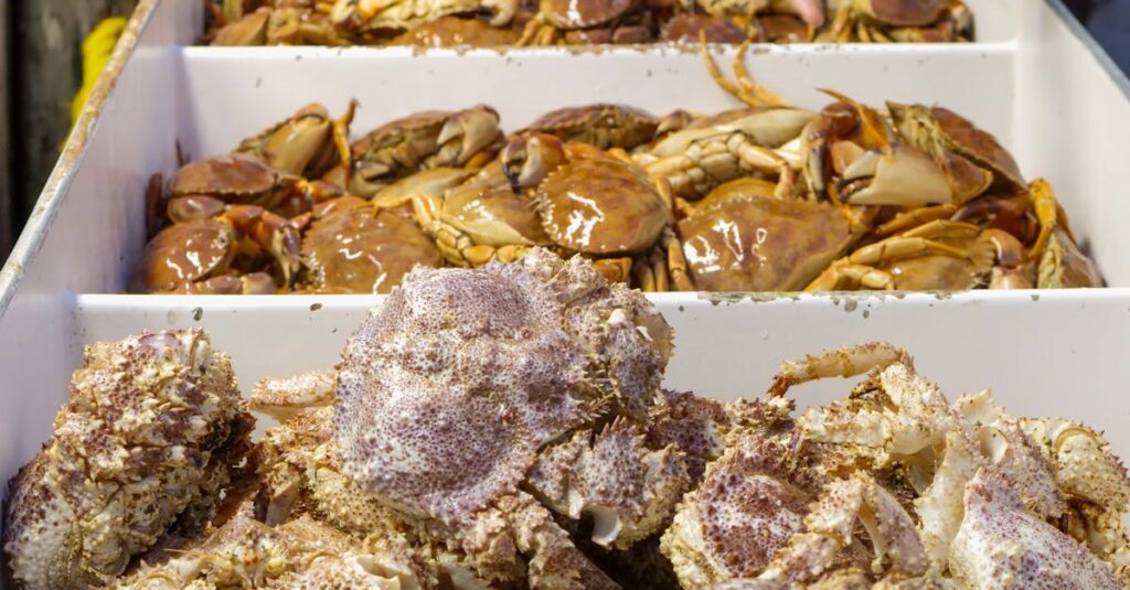 タラバガニ、ズワイガニ、毛ガニの特徴を比較して選ぶ様子