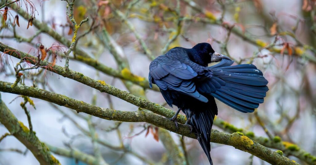 掃除をプロに任せて自由な時間を楽しんでいる家族や個人の様子