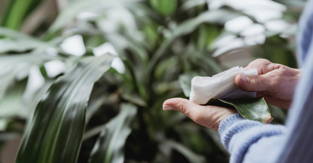 急成長するハウスクリーニング業界とおそうじ革命の比較図