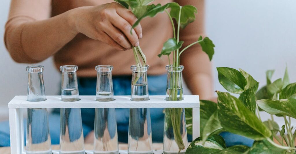 急成長するハウスクリーニング業界とおそうじ革命の比較図